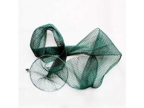 �����O�W